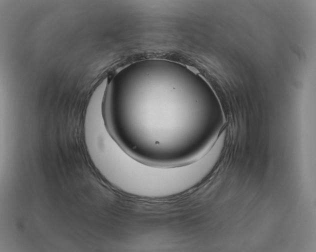 X0000113251252200910011339