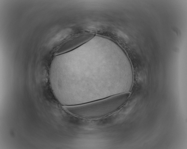 X0000113251253200910011339