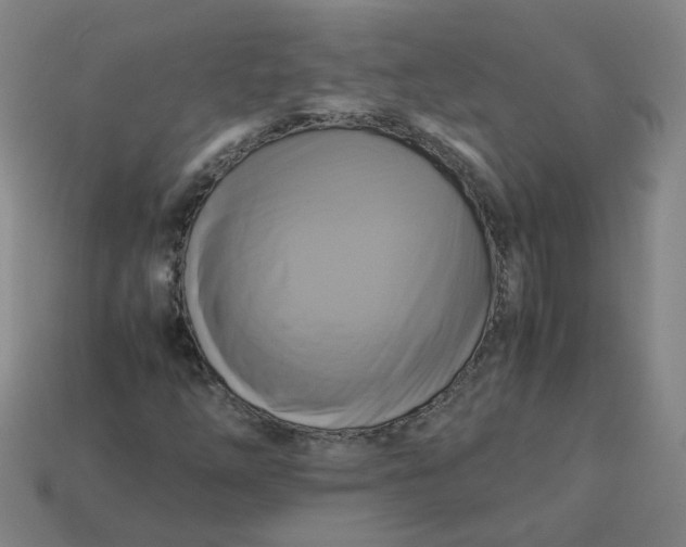 X0000113251254200910011339