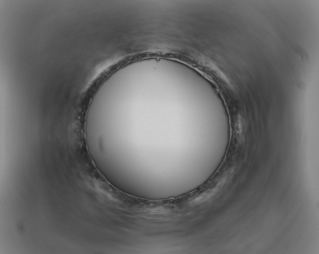 X0000113251256200910011339