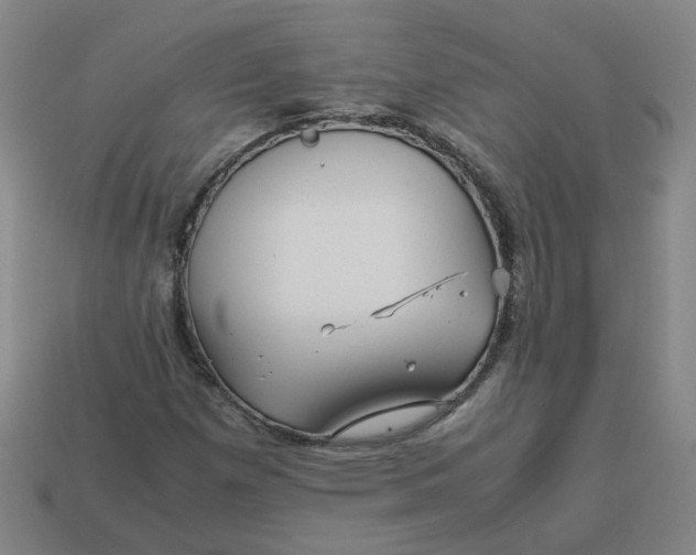 X0000113251257200910011339