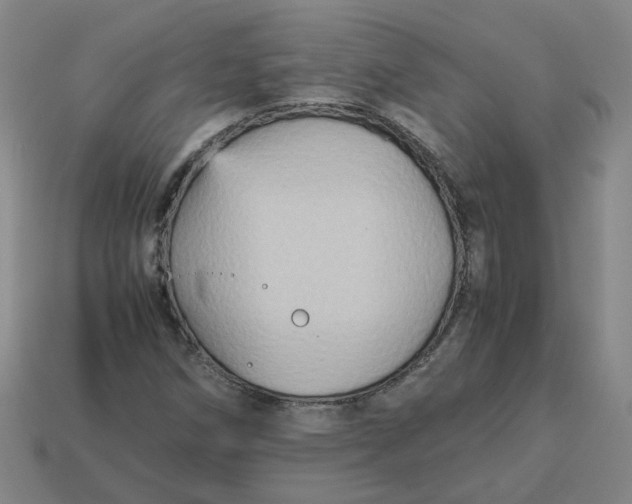 X0000113251258200910011339