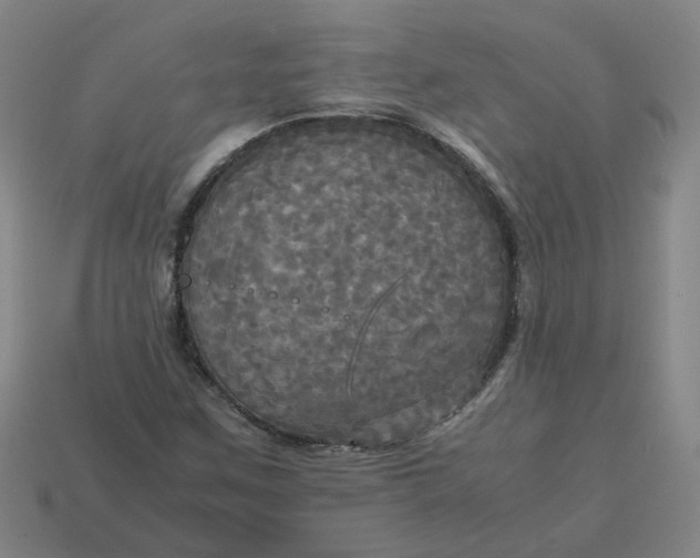 X0000113251259200910011339