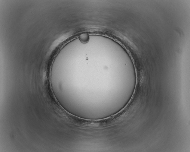 X0000113251261200910011339