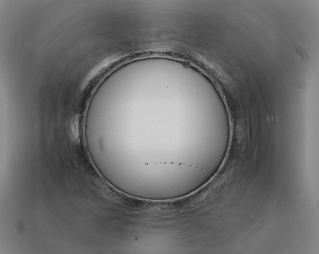 X0000113251262200910011339