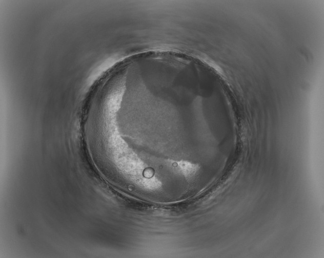 X0000113251263200910011339