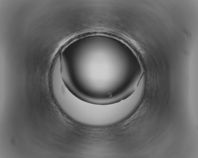 X0000113251264200910011339