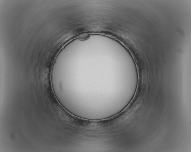 X0000113251265200910011339