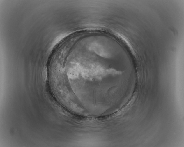 X0000113251267200910011339