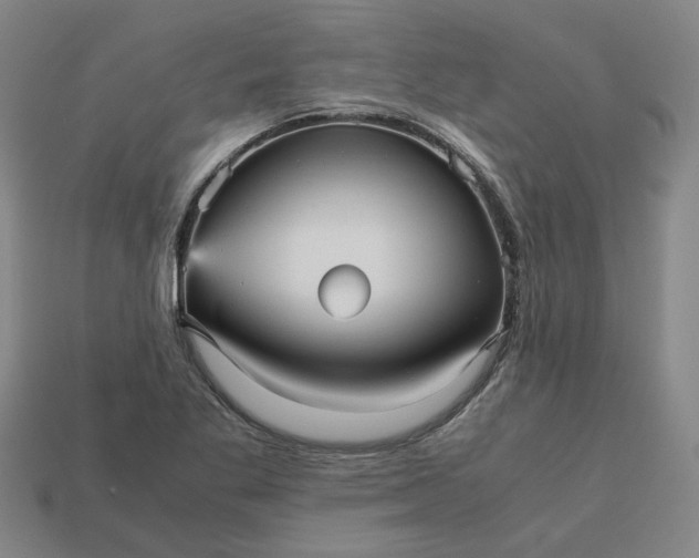 X0000113251269200910011339