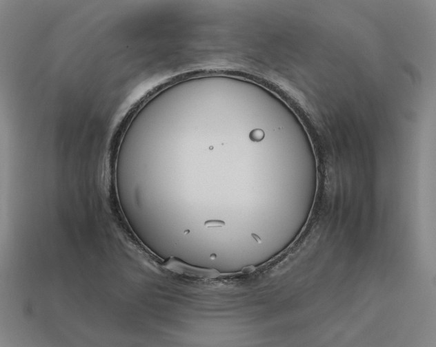 X0000113251270200910011339