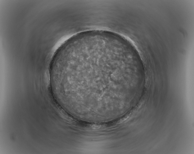 X0000113251271200910011339