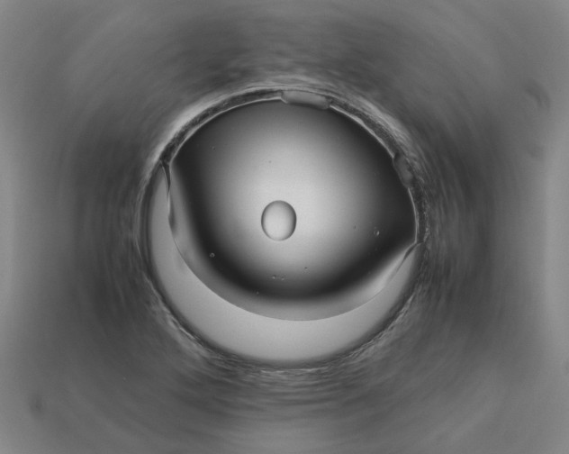 X0000113251272200910011339