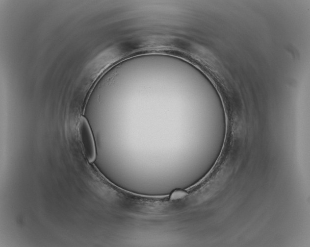 X0000113251273200910011339