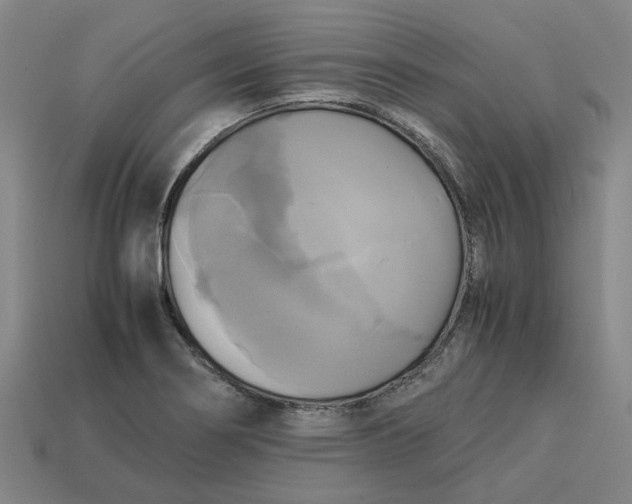 X0000113251274200910011339