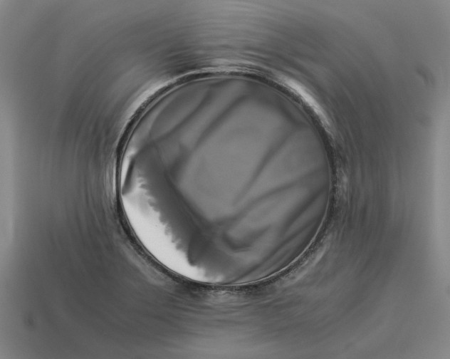 X0000113251275200910011339