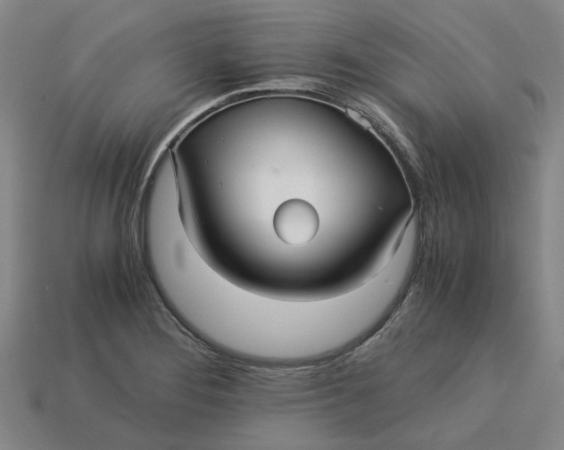 X0000113251276200910011339