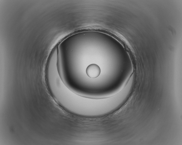 X0000113251277200910011339