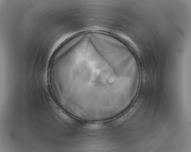 X0000113251278200910011338