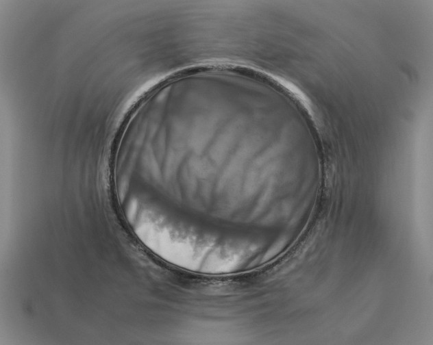 X0000113251279200910011338