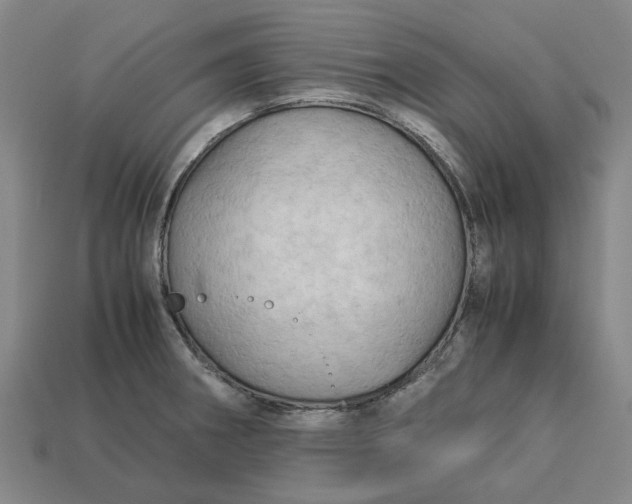 X0000113251282200910011338