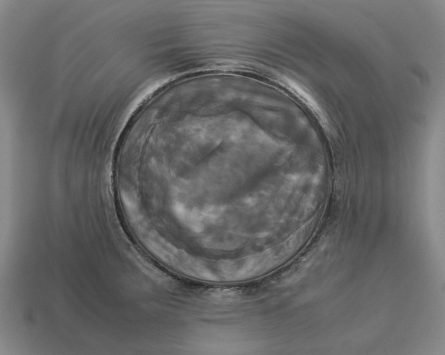 X0000113251283200910011338