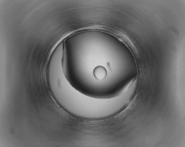 X0000113251284200910011338