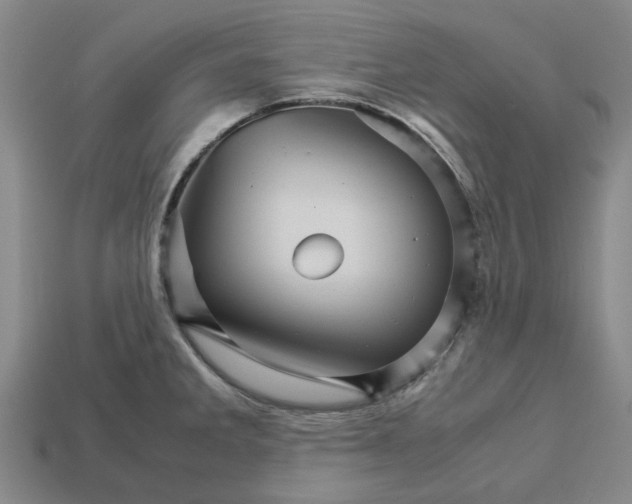 X0000113251285200910011338