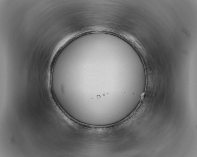 X0000113251286200910011338