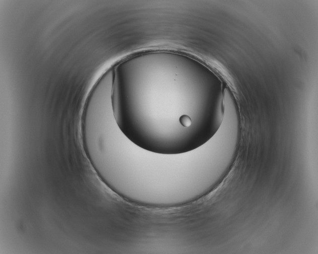 X0000113251288200910011338