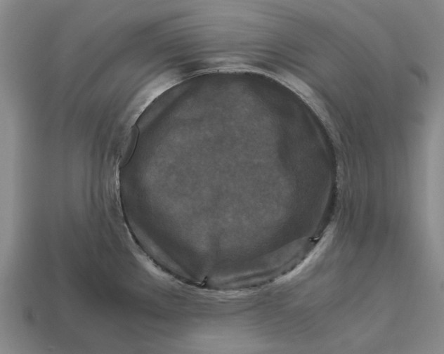 X0000113251289200910011338