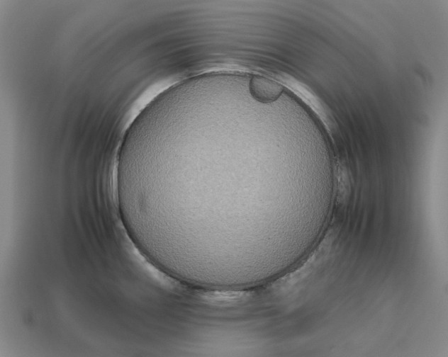 X0000113251290200910011338