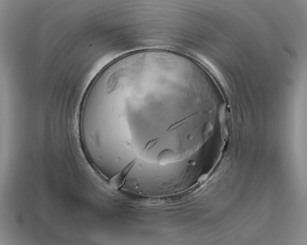 X0000113251291200910011338