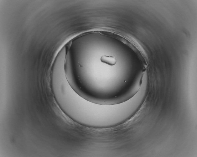 X0000113251292200910011338