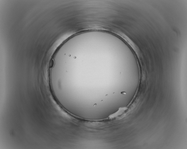 X0000113251293200910011338