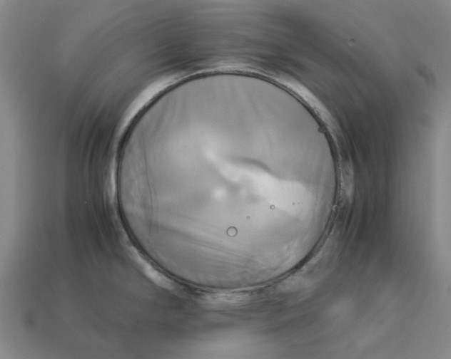 X0000113251294200910011338