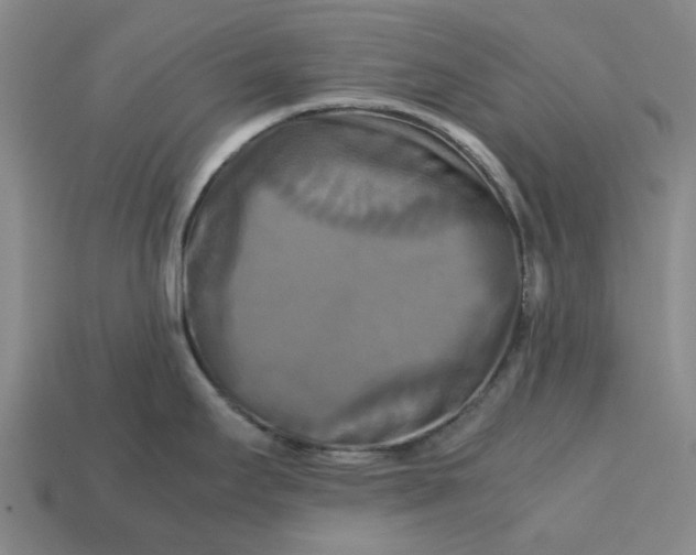 X0000113251295200910011338