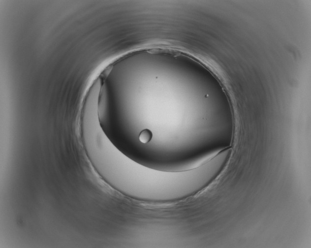 X0000113251296200910011338