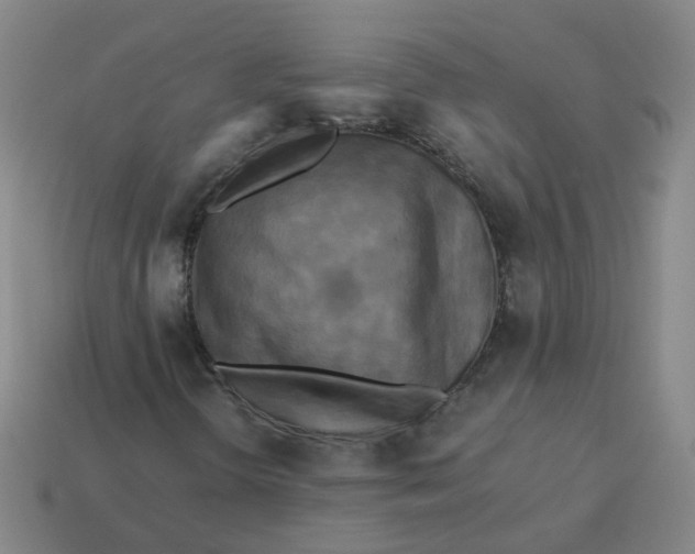 X0000113251298200910011338