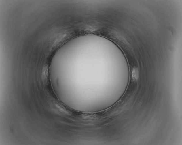 X0000113251299200910011338