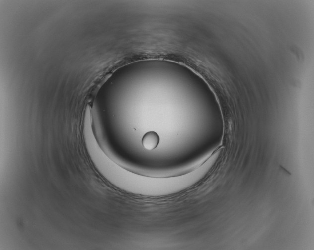 X0000113251300200910011338