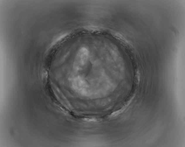 X0000113251302200910011338