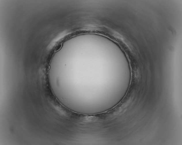 X0000113251304200910011338