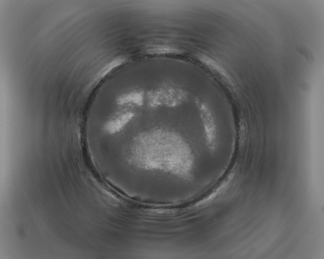 X0000113251305200910011338