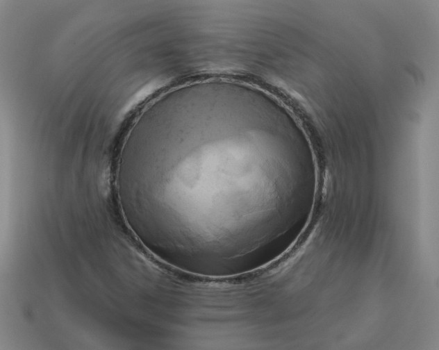 X0000113251306200910011338