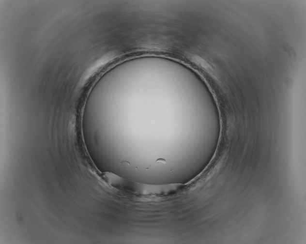 X0000113251307200910011338