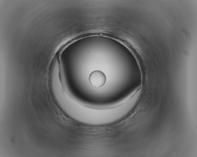 X0000113251308200910011338