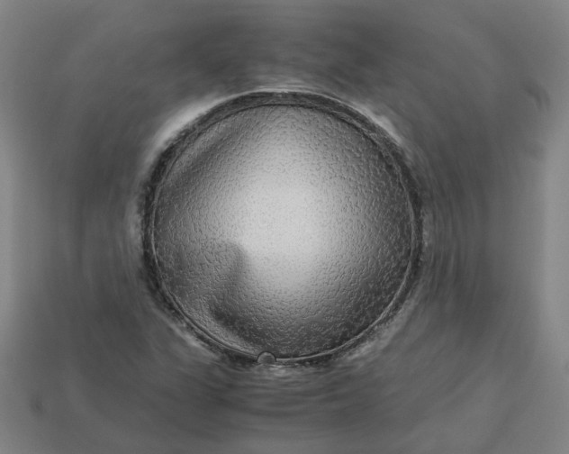 X0000113251311200910011338