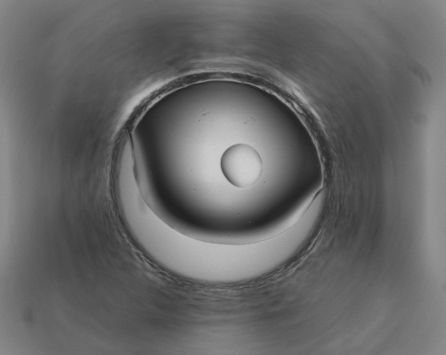 X0000113251312200910011338