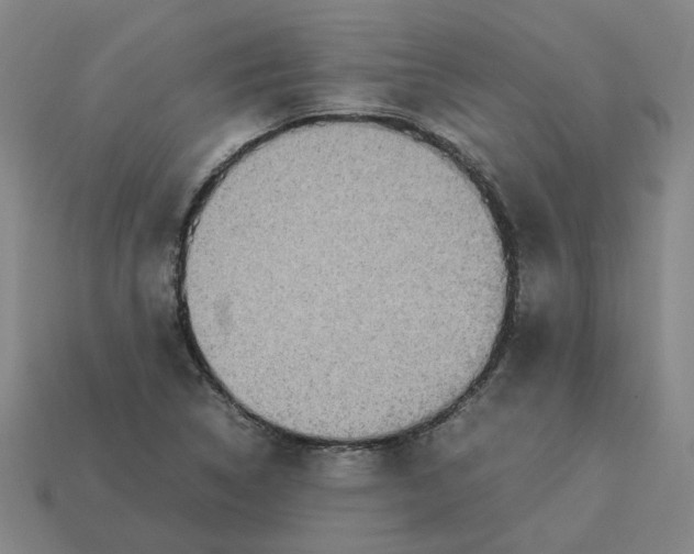 X0000113251314200910011338